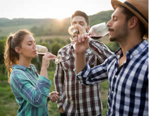 Winery Bus Tour to the Hill Country with Live Music, & BBQ