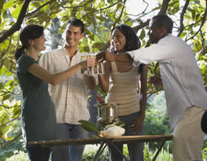 Fredericksburg Vintner Winery Tour & Italian Lunch