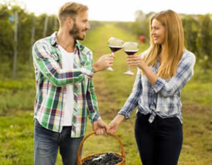Fredericksburg Vintner Winery Tour & Italian Lunch